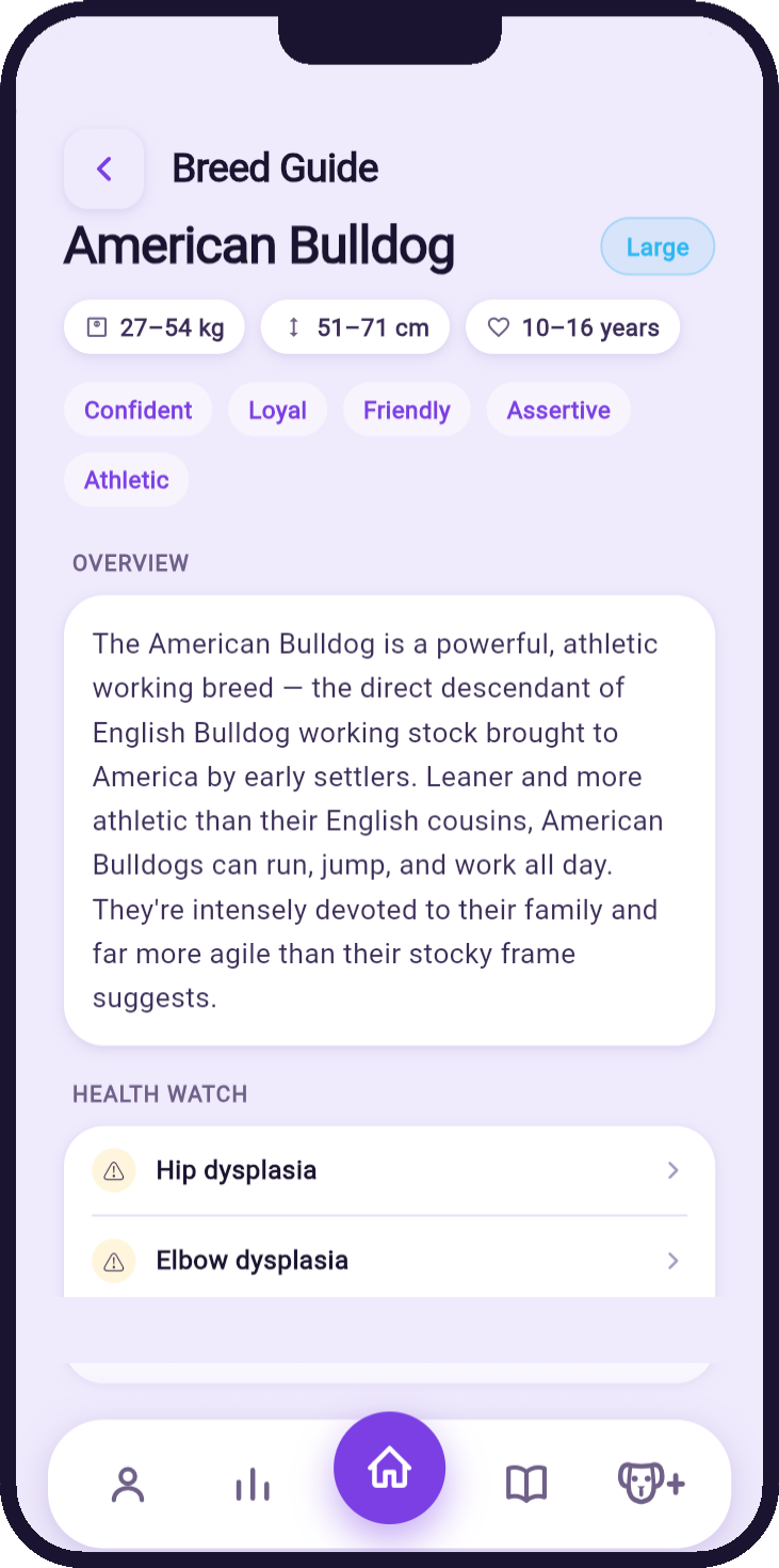 DogDayz — Breed & age care guide